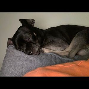 Meet your Posher, Camille